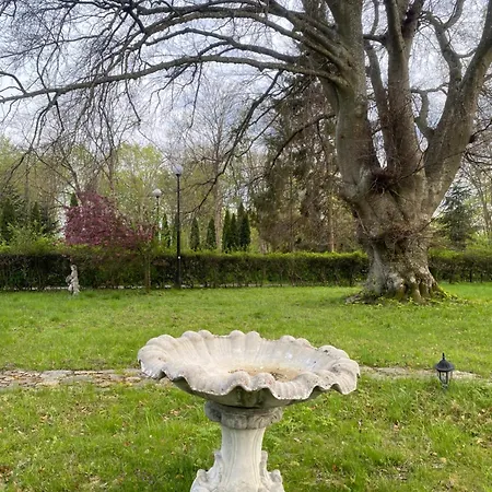 ホテル Zamek Nowecin ウェバ