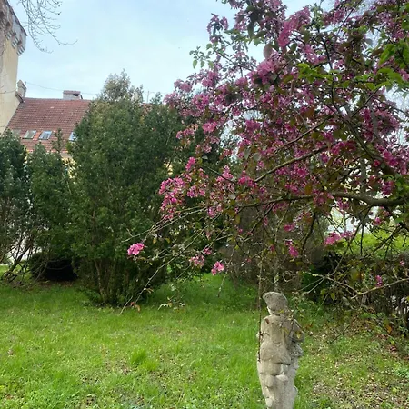 Zamek Nowęcin