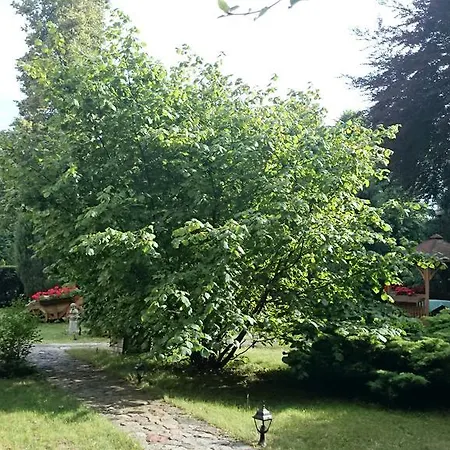 Hotell Zamek Nowecin