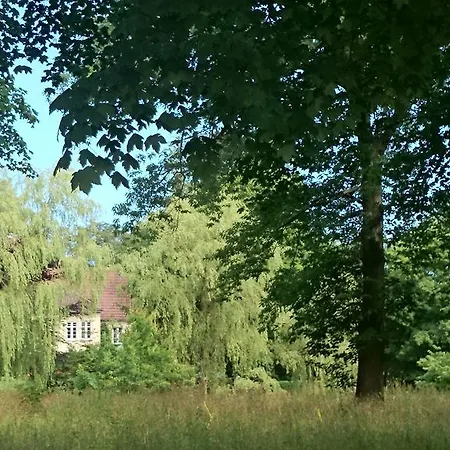 Zamek Nowecin