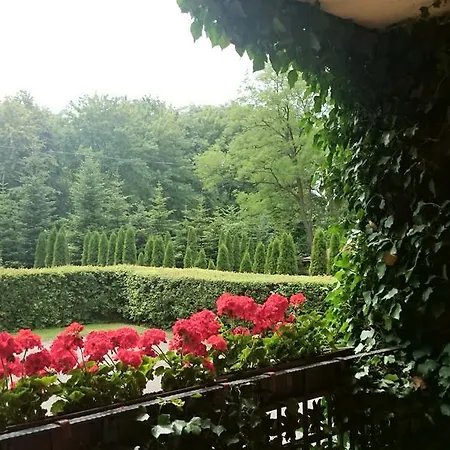 Hotell Zamek Nowecin