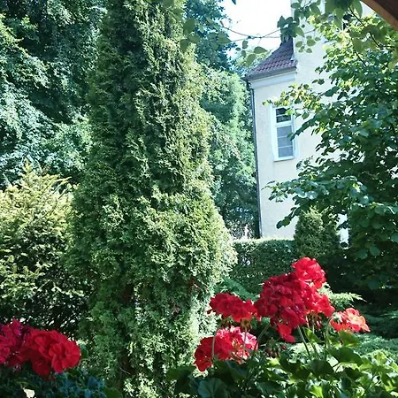 Hotel Zamek Nowecin 3*
